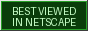 Best viewed in Netscape badge